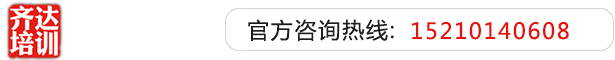 操欧美骚逼齐达艺考文化课-艺术生文化课,艺术类文化课,艺考生文化课logo